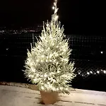 La Casa Del Riccio Отель типа 
