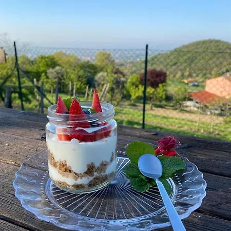 La Casa Del Riccio Bed & Breakfast Cinto Euganeo