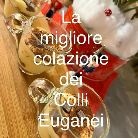 La Casa Del Riccio Cinto Euganeo