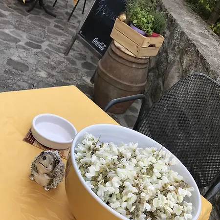 Bed & Breakfast La Casa Del Riccio