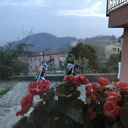 La Casa Del Riccio Cinto Euganeo