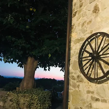 La Casa Del Riccio לינה וארוחת בוקר Cinto Euganeo