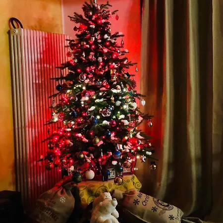 La Casa Del Riccio Cinto Euganeo