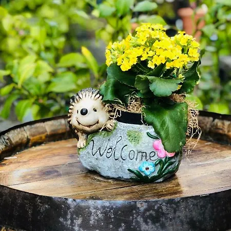 La Casa Del Riccio 3* Cinto Euganeo