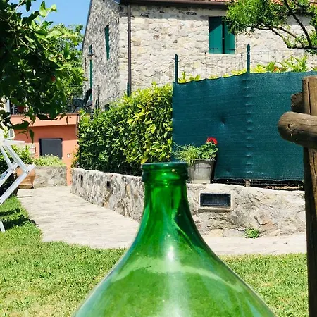 B&B La Casa Del Riccio Cinto Euganeo