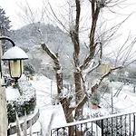 Bed & Breakfast La Casa Del Riccio Cinto Euganeo
