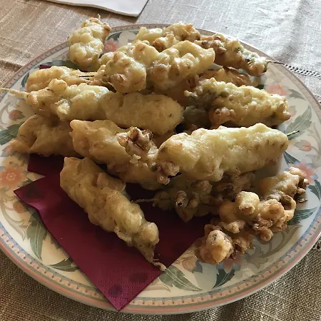 La Casa Del Riccio Cinto Euganeo