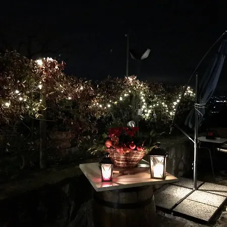 La Casa Del Riccio Cinto Euganeo