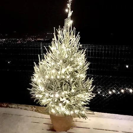 La Casa Del Riccio Bed and breakfast