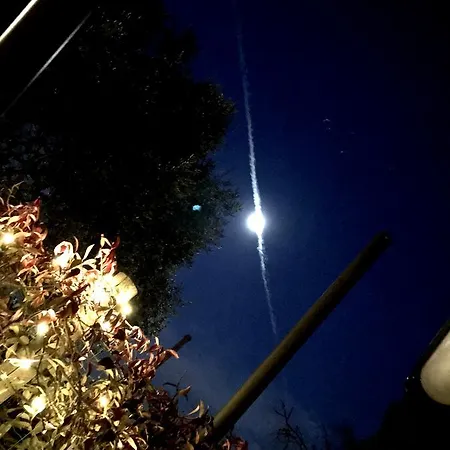 La Casa Del Riccio Cinto Euganeo