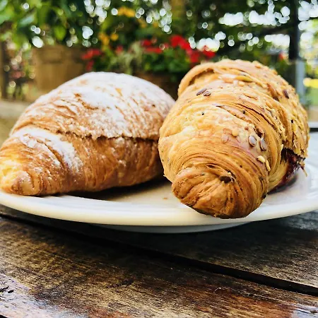 La Casa Del Riccio Bed and breakfast Cinto Euganeo