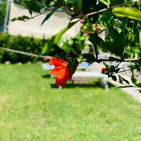 Bed and breakfast La Casa Del Riccio 3*