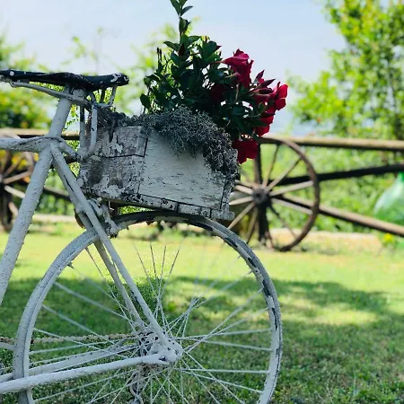 La Casa Del Riccio Cinto Euganeo