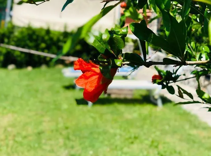 Nocleg ze śniadaniem La Casa Del Riccio 3*